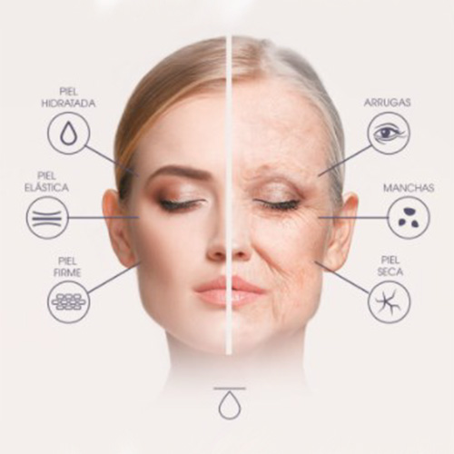 Redensificacion_Facial_CMRB1.jpg